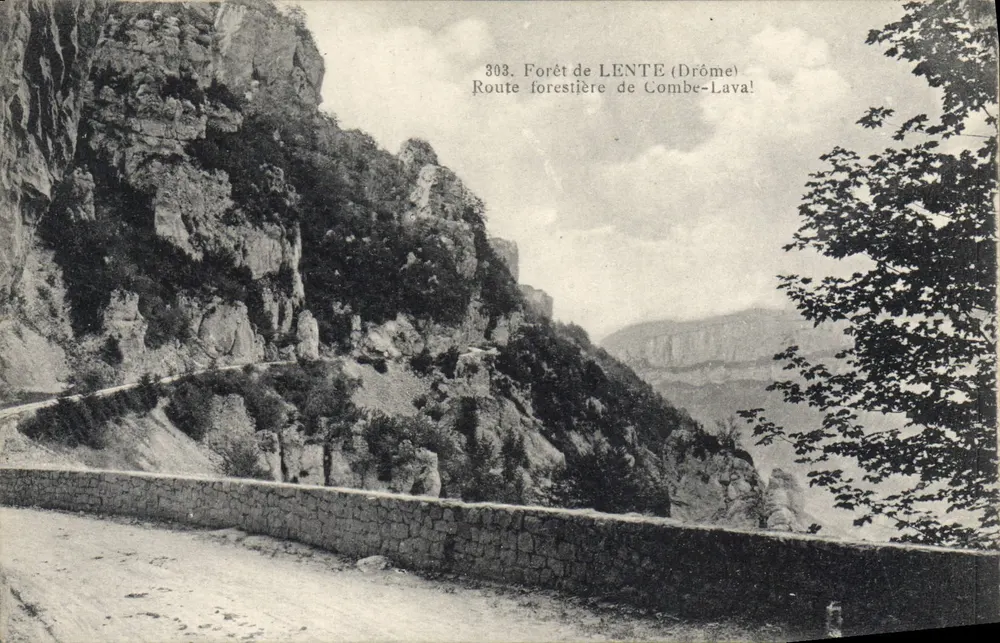 Foresta di LENTE (Drôme) — Strada forestale di Combe-Lava — editore non identificato, n. 303 - Recto