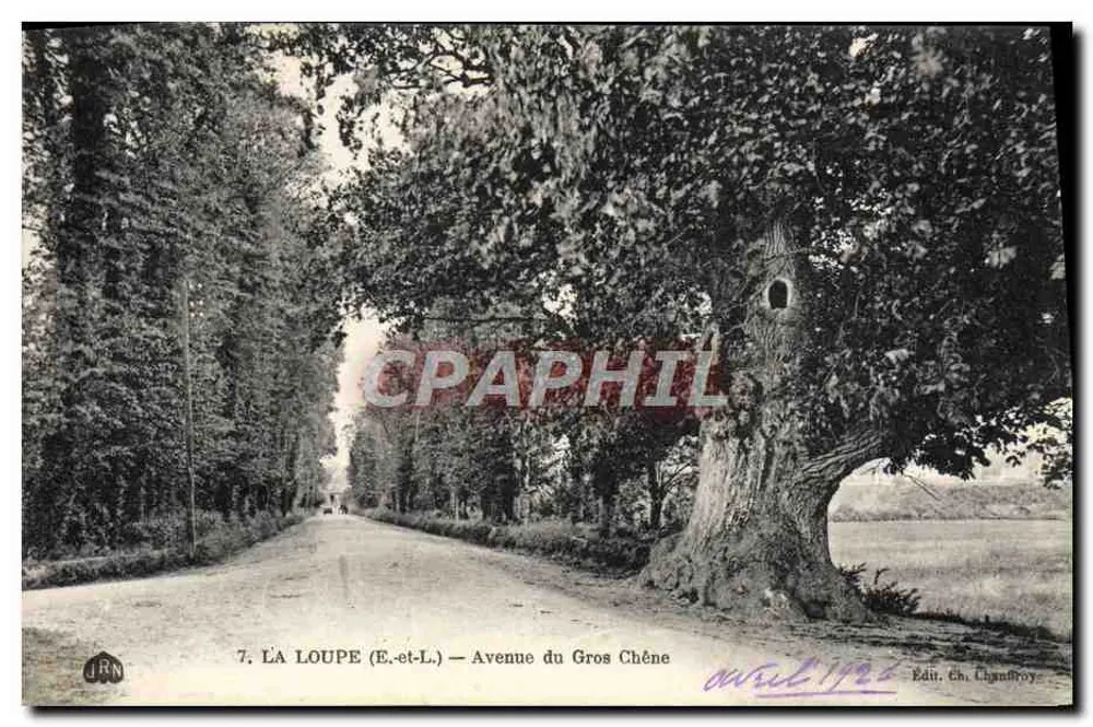 La Loupe (E.-et-L.) — Avenida do Grande Carvalho — Edit. Ch. Chambroy - Frente