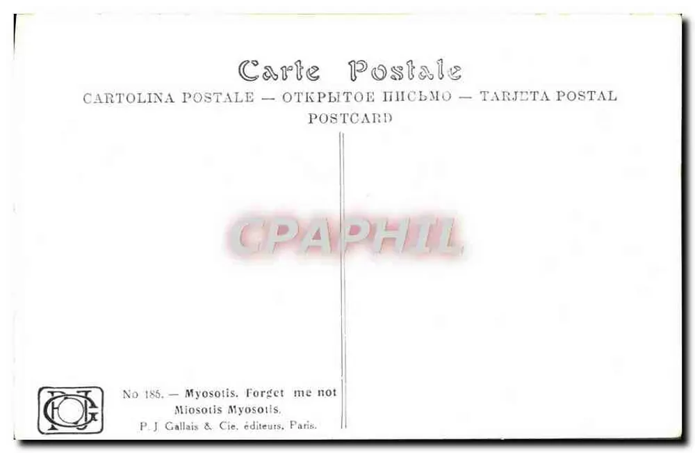 Myosotis — Vergiss-mein-nicht — P.J. Gallais & Cie, Paris, Nr. 185 - Rückseite