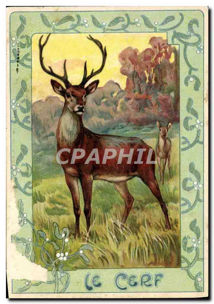 O Cervo — ilustração animal — Ch. D. — Paris - Frente