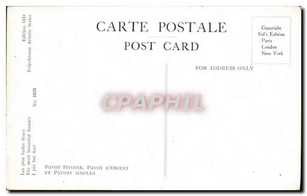 Pavots proste — Pavot pivoine, Pavot z Orientu — Sid's Edition, N° 1638 - Rewers