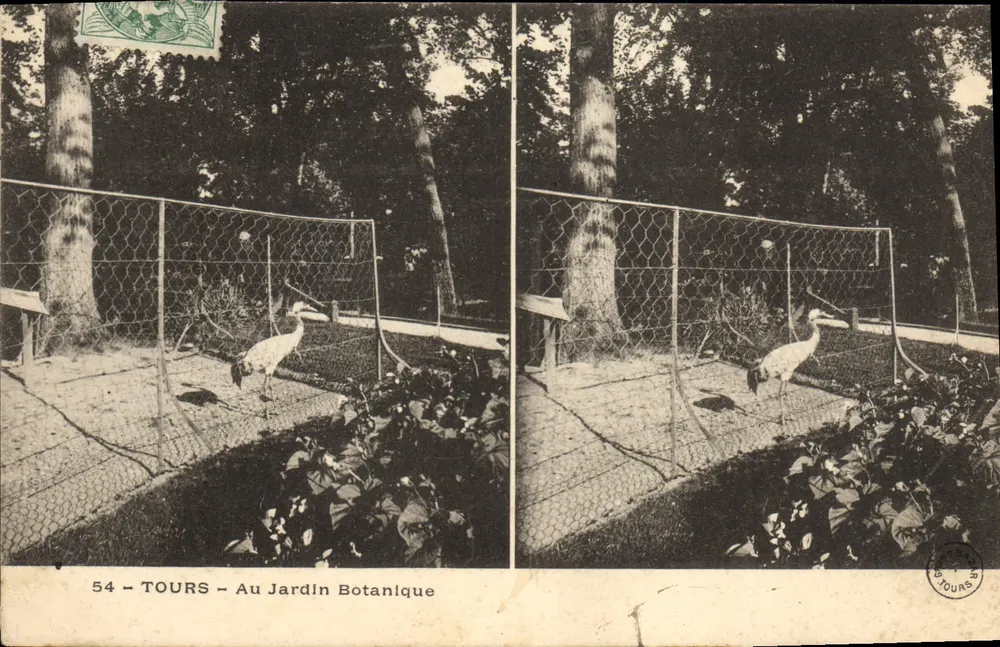 Tours - No Jardim Botânico — pássaro em recinto — editor desconhecido, n° 54 - Frente