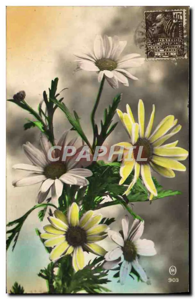 Arranjo de margaridas — editor M. 903 — selo 40¢ - Frente