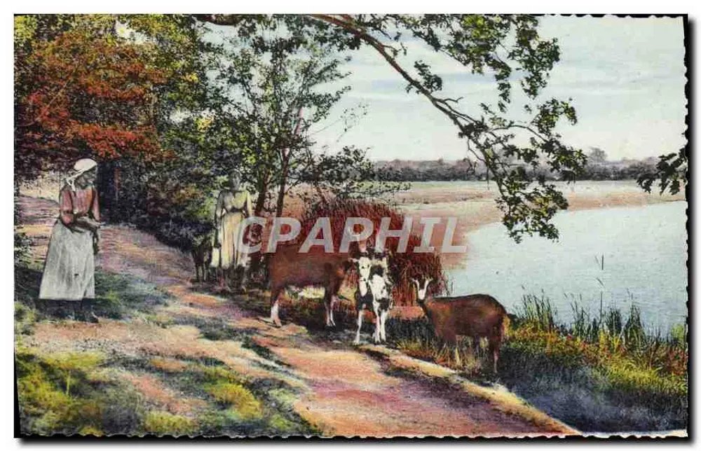 Landschaftsszene — zwei Frauen mit Kühen und Ziege am See — unbekannter Verlag - Vorderseite