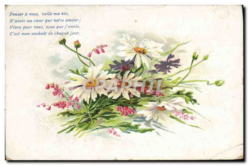 Bouquet de fleurs — illustration colorée — éditeur non visible - Frente