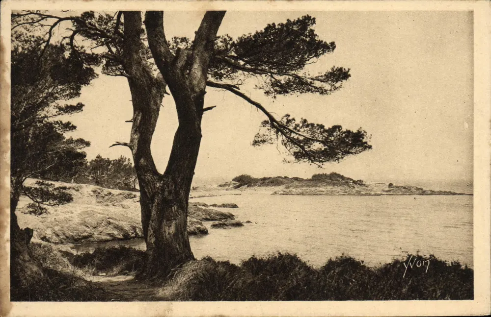 Küstenlandschaft mit Kiefer — Verlag Yvon, Nr. 14/322 - Vorderseite