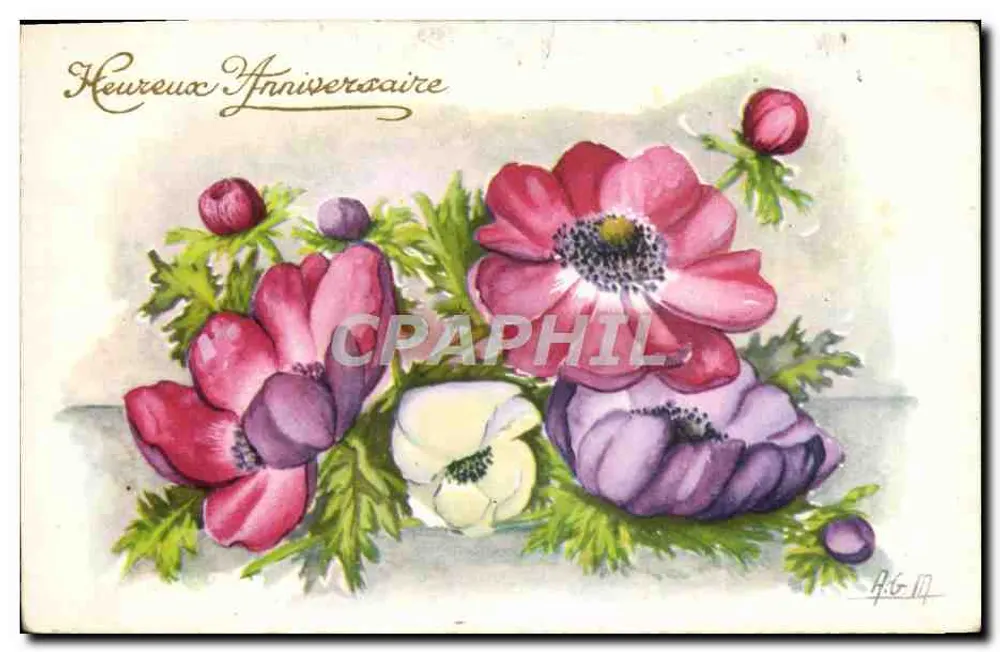 Anemone-Blüten — Geburtstag — A.G.M. (Verlag ?) - Vorderseite