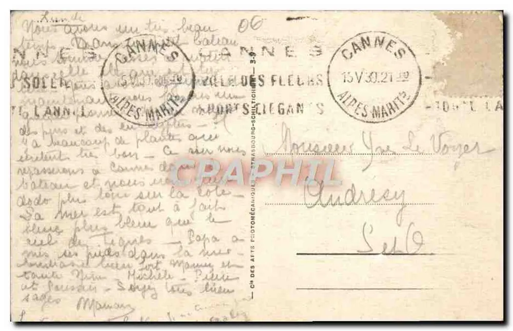 Ilha de Ste-Marguerite — Avenida dos Eucaliptos — Editor A. L. P. n°12 - Verso