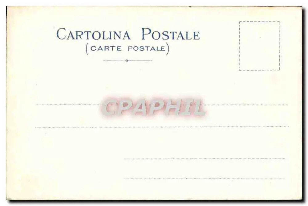 Pisa - La Torre inclinada de la catedral — fotografía Alinari — edición Tarjeta Postal - Reverso