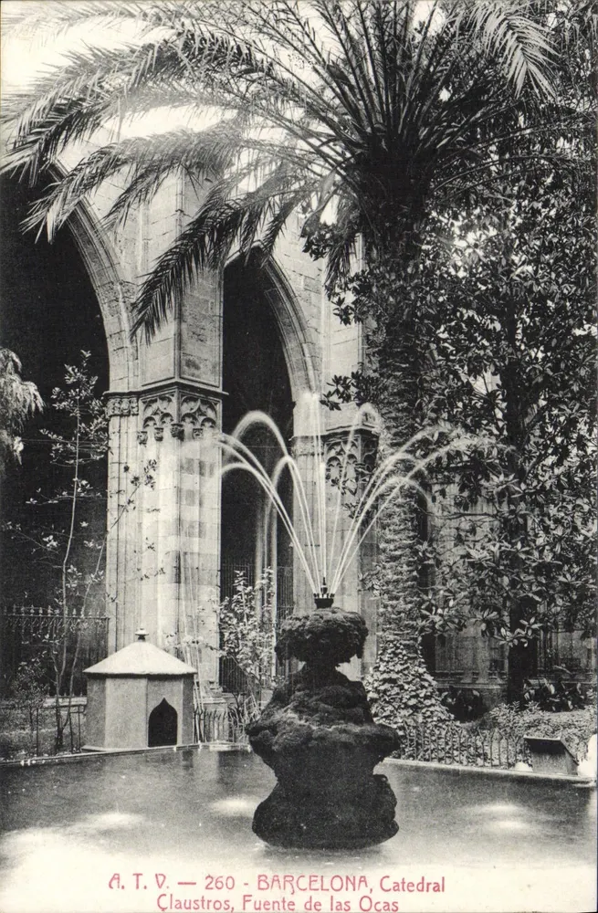 Barcelona, Kathedrale — Klostergänge, Fontäne der Ocas — A.T.V. 260 - Vorderseite