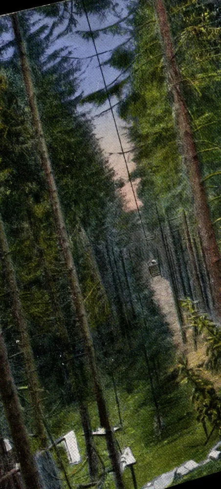 Foresta dei Vosgi — Sentiero del cavo — Feldpostkarte - Recto