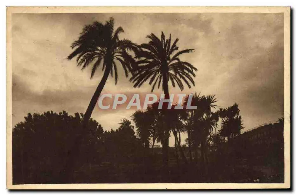 Giardini di Alberto I — Nizza — Collezione 'La Costa d'Azurra' — n°299 - Recto
