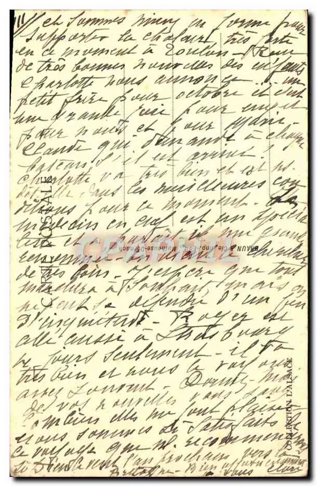 अल्सेस — कबूतर के घोंसला — एडिटर: अल्सेसियन प्रिंटिंग प्रेस, संख्या 346 - पीछे
