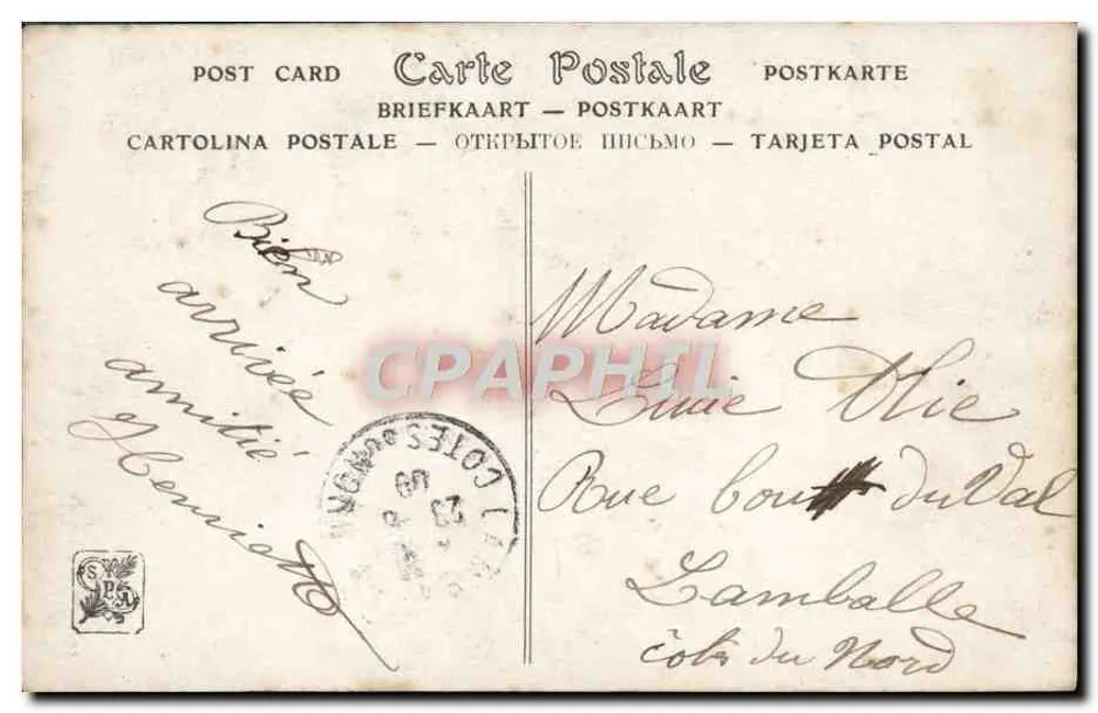 Weißer Kater — Salon de 1909 — A. Mague, ND Phot. - Rückseite