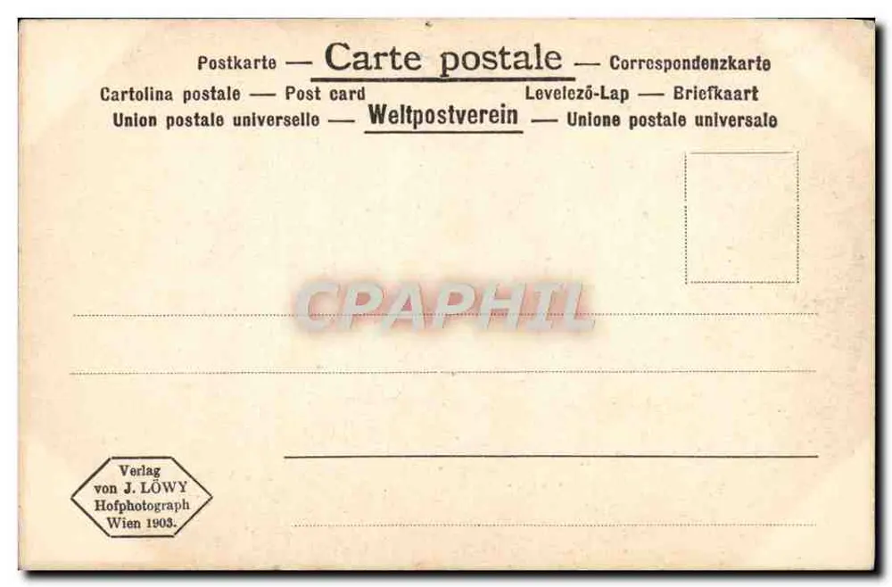 Bissolo - Representação de Cristo no Templo - Galeria Imperial de Pinturas, Viena - Verso