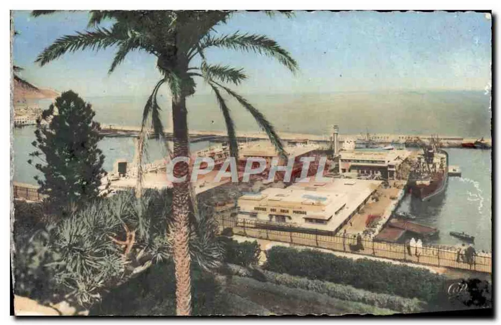 Oran — A Estação Marítima — C.A.P. Paris - Frente
