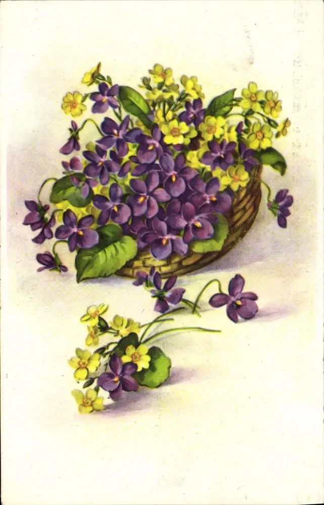 Buquê de violetas e margaridas — editor desconhecido, número de série não visível - Frente