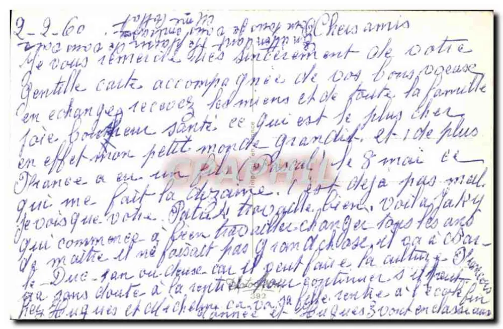 Buquê de violetas e margaridas — editor desconhecido, número de série não visível - Verso