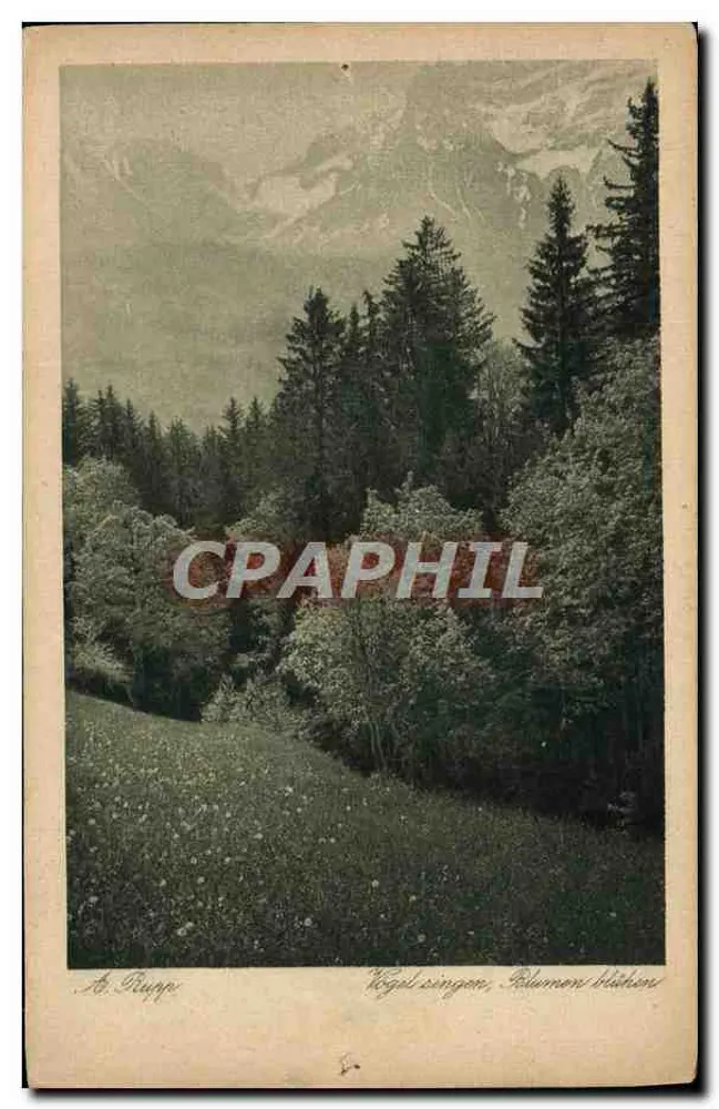 Paisagem alpina — florestas e montanhas — A. Ruppe, n° 172 - Frente