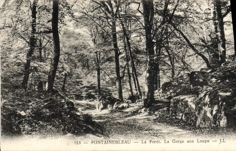 Fontainebleau — Die Forêt. Die Gorge aux Loups — LL - Vorderseite