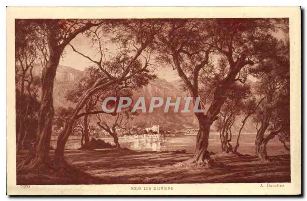 Sous les oliviers — A. Dauchez — n°7120 - Awers