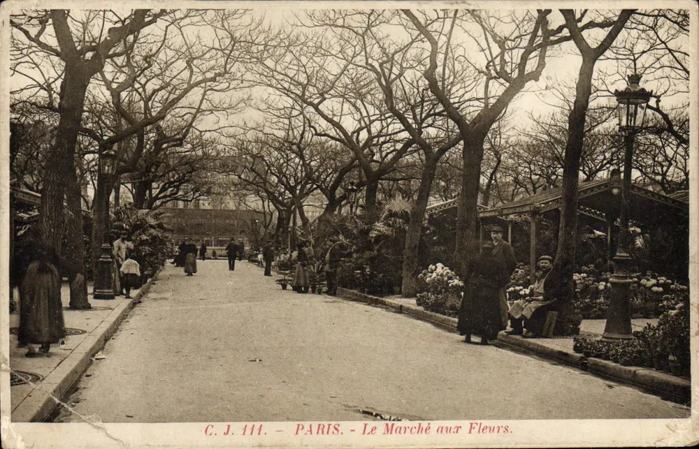 Paris — Le Marché aux Fleurs — C. J. 111 - Frente