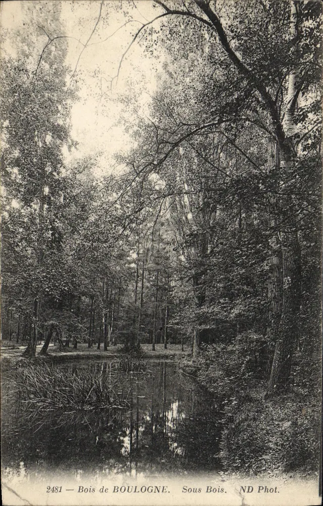 Bois de Boulogne — scène de forêt avec étang — ND Phot. n°2481 - Frente