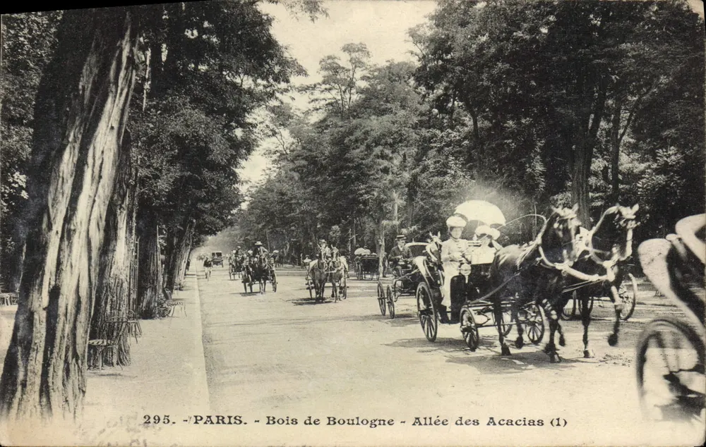 Paris - Bois de Boulogne - Allée des Acacias (1) — unbekannter Verlag, Seriennummer 295 - Vorderseite