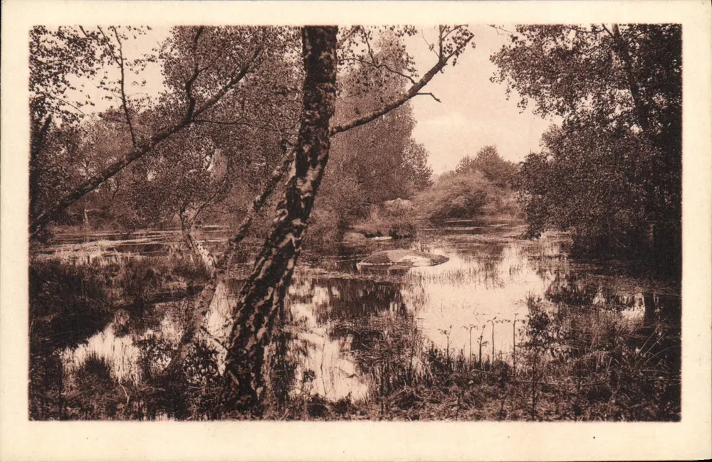 Forêt de Fontainebleau — La Mare de Franchard — Edition Vincent - Vorderseite