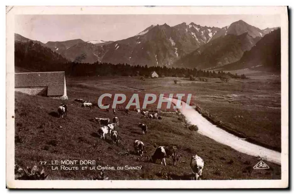 Mont Dore — Die Straße und die Sancy-Kette — Verlag C.A.B. Nr. 77 - Vorderseite