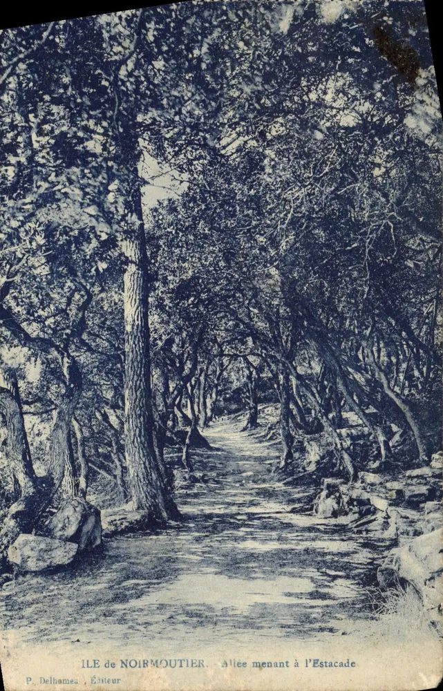 Île de Noirmoutier — Allée menant à l'Estacade — P. Delhomeau, Éditeur - Frente