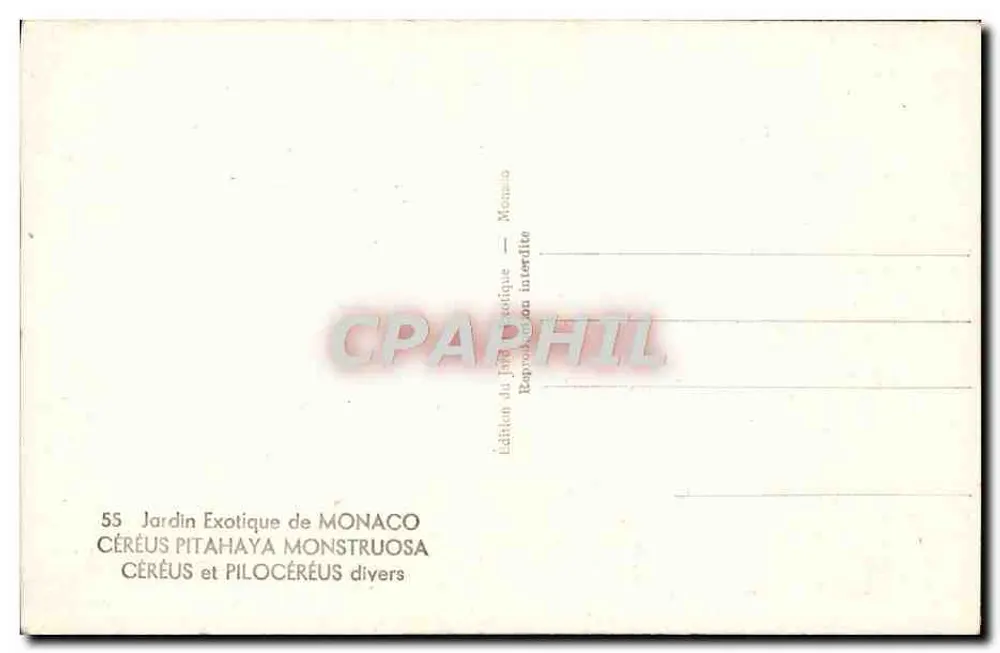 Jardin Exotique de Monaco — Cereus und Pilocereus-Varianten — Edition Monaco - Rückseite