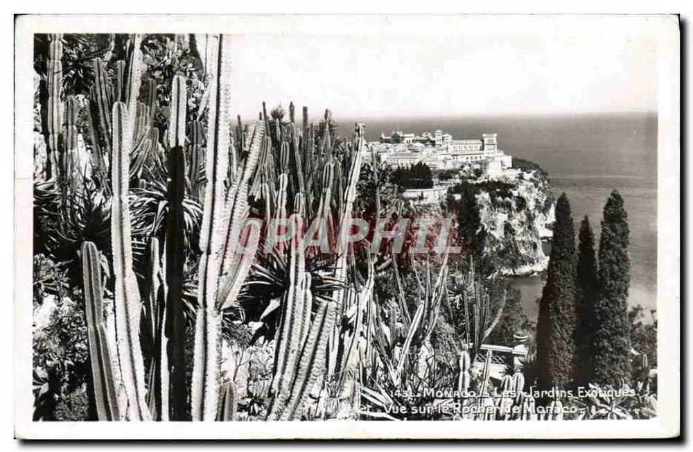 Monaco — Die Exotischen Gärten — Ansicht des Felsens von Monaco - Vorderseite