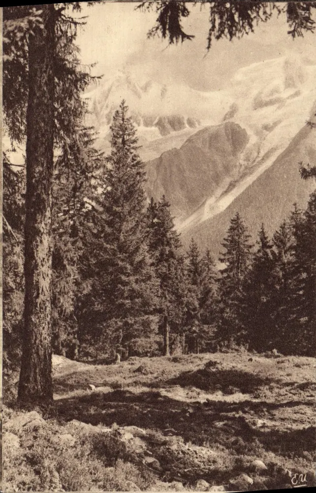 Vallée de Chamonix — A Cause — Impressora « Je Suis » - Frente