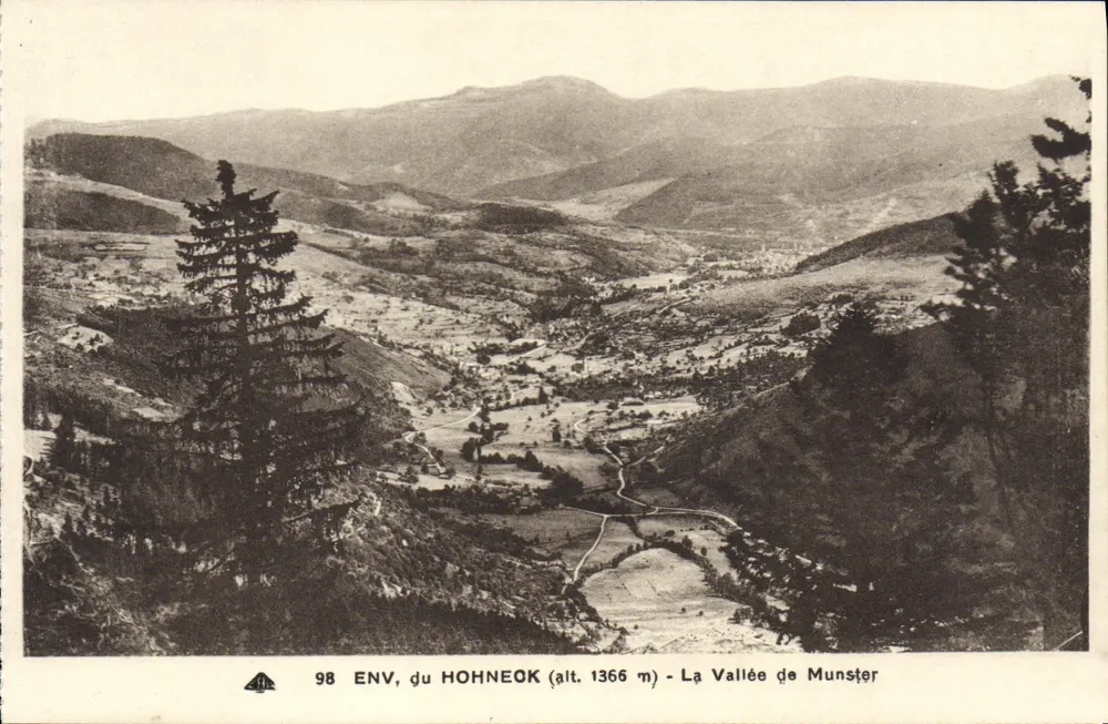 ENV do HOHNEOK (alt. 1366 m) — A Vale de Munster - Frente
