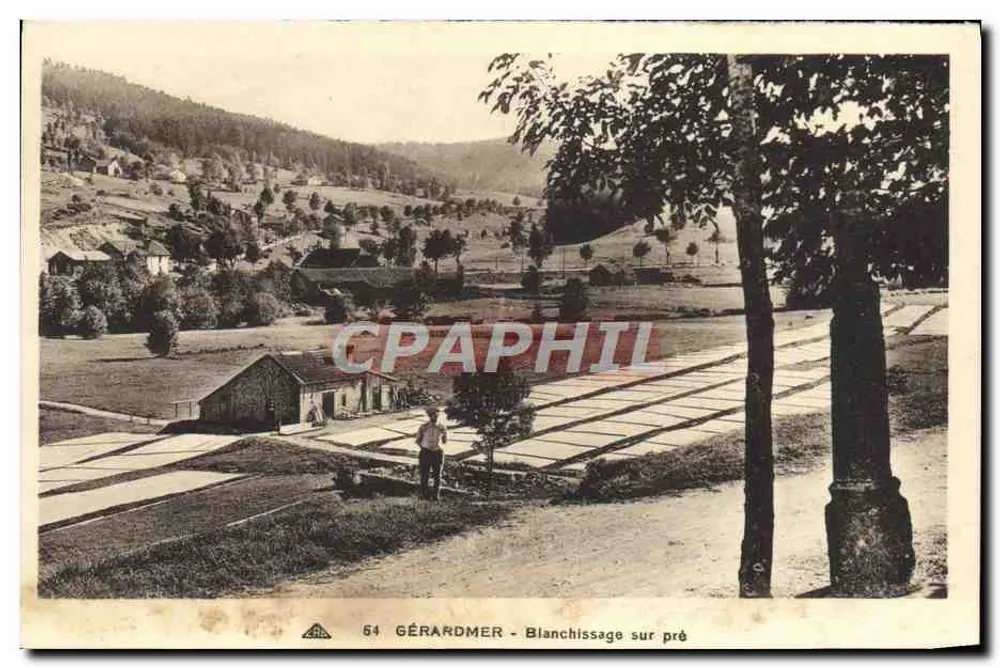 Gérardmer - Lavagem em campo — editor Gérardmer, n° 64 - Frente