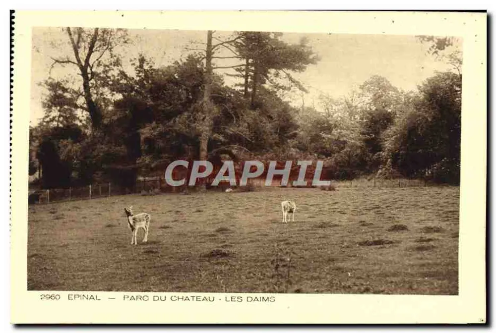 Epinal — Parque do Castelo — Les Daims - Frente