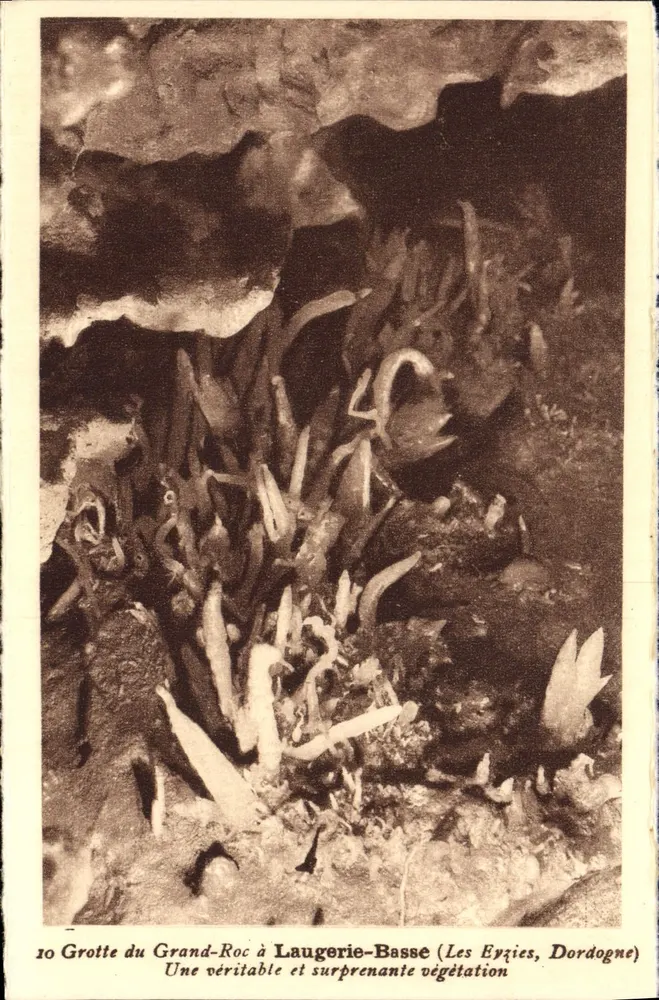 Höhle Grand-Roc in Laugerie-Basse — Les Eyzies, Dordogne — n°10 - Vorderseite