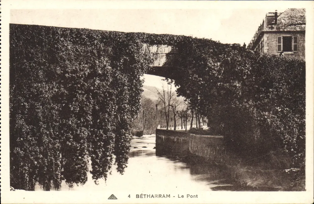 Bétharram - O Ponte — vista do ponte coberto por lianas — editor C° Alinéaisses des Arts Photographiques, Strasbourg - Frente