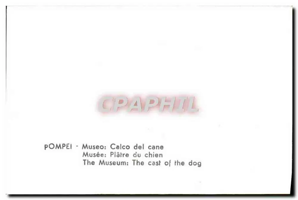 Pompéia — Museu: Gesso do cão - Verso