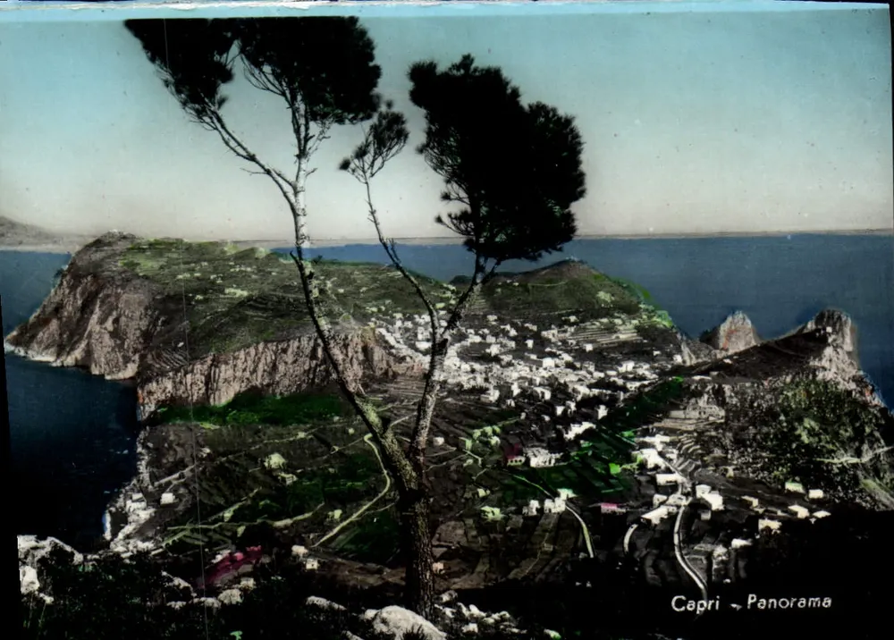 Capri - Panorama — vista panorâmica da ilha com pinheiros e mar — editor desconhecido, número de série não visível - Frente