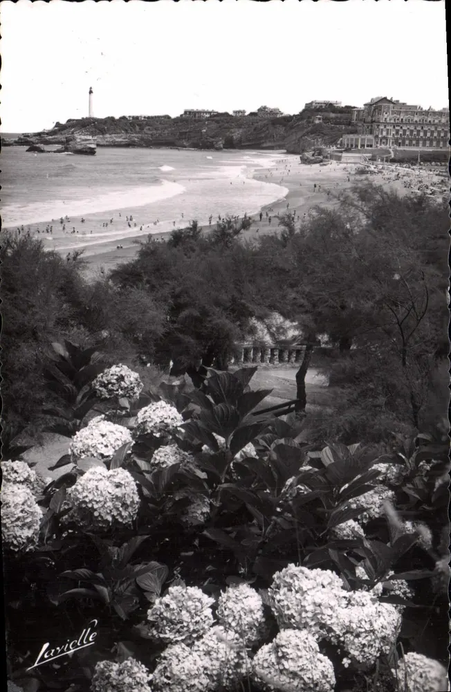 Biarritz — Die Hydrangeen und Blick auf den Leuchtturm — L. Lavielle, P. 790 - Vorderseite