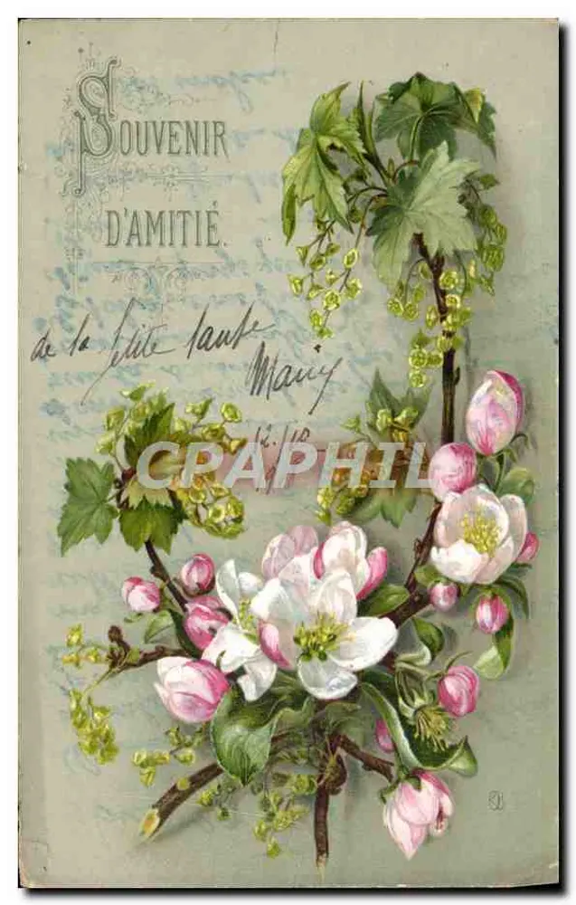 Fleurs de printemps — bouquet de pommiers en fleurs — éditeur non visible - Frente