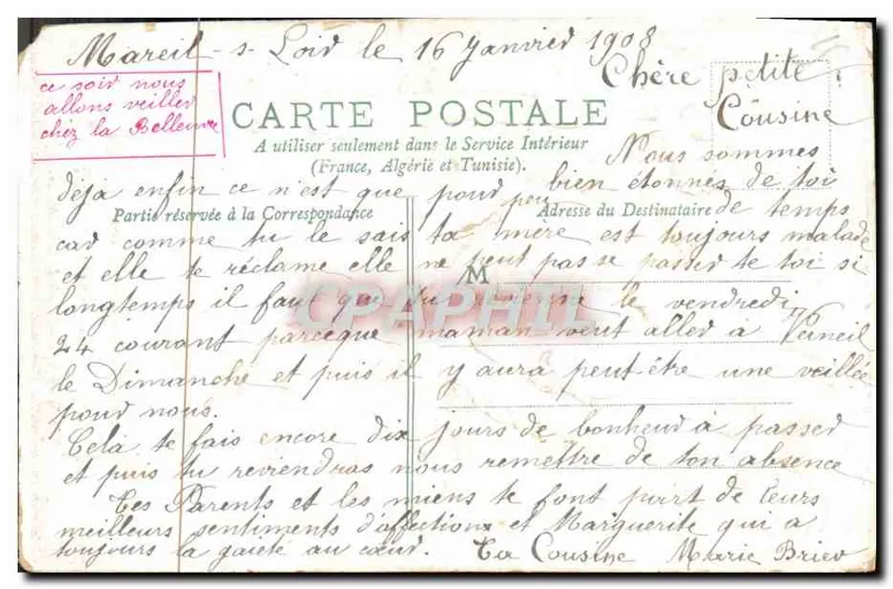 Fleurs violettes et rubans — Souvenir Affectionné — éditeur inconnu - Verso