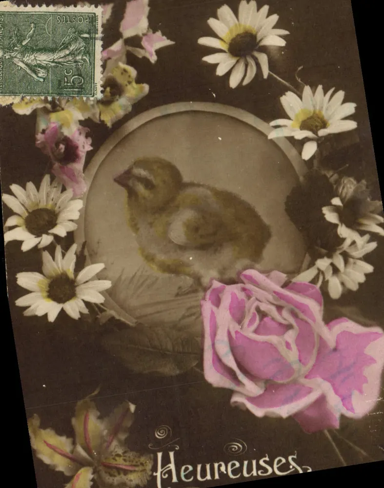 Pássaro em um quadro — flores e rosa — Foto M.C. Fréaize - Frente