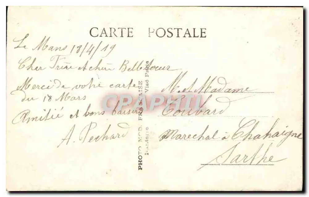 Pássaro em um quadro — flores e rosa — Foto M.C. Fréaize - Verso