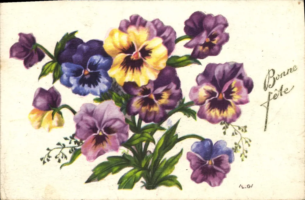 Flores de pensamento — Feliz aniversário — L.G./Imprimerie de France - Frente