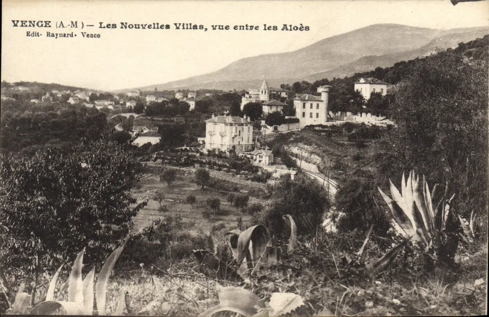 Vence (A.M.) — Die neuen Villen, Straße zwischen den Aloe-Bäumen — Edit. Raynard Vence - Vorderseite
