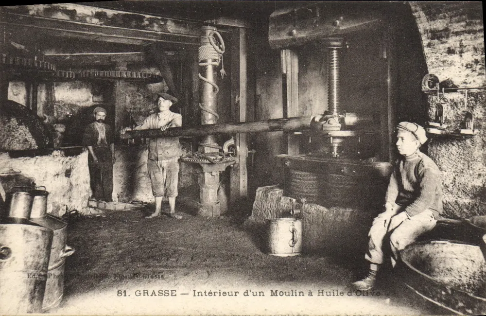 Grasse — Interior de una Molinera de Aceite — Ed. C. Fototipia Nipshu Grasse, n°81 - Anverso