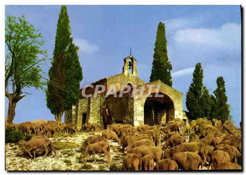 Ländliche Kirche — Schafherde — Éditions de France Gesellschaft - Vorderseite
